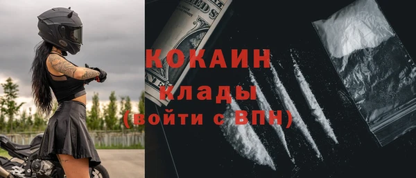 бошки Мегион