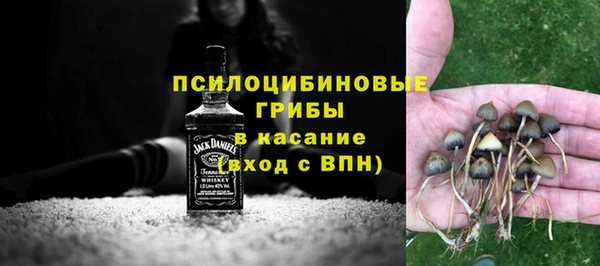 ALPHA-PVP Бердск