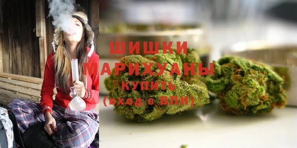 PSILOCYBIN Медногорск