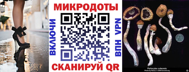 Псилоцибиновые грибы Magic Shrooms  как найти   Дмитровск 